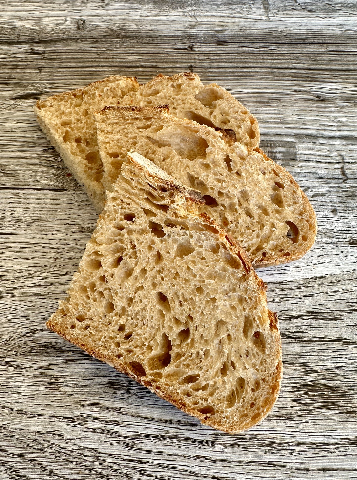 Pane Integrale  " Whole Wheat Loaf "