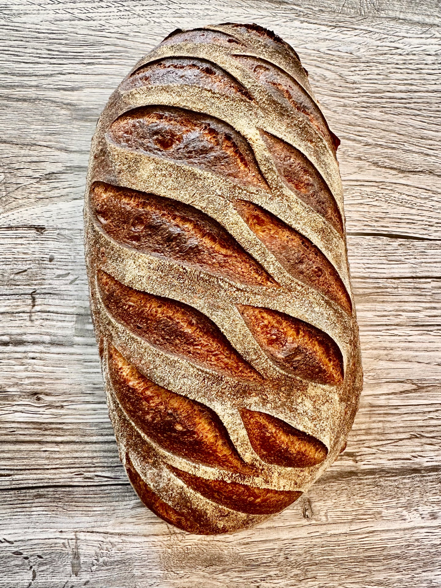 Pane Integrale  " Whole Wheat Loaf "